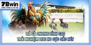 Đá gà online