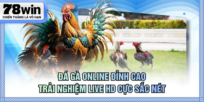 Đá gà online
